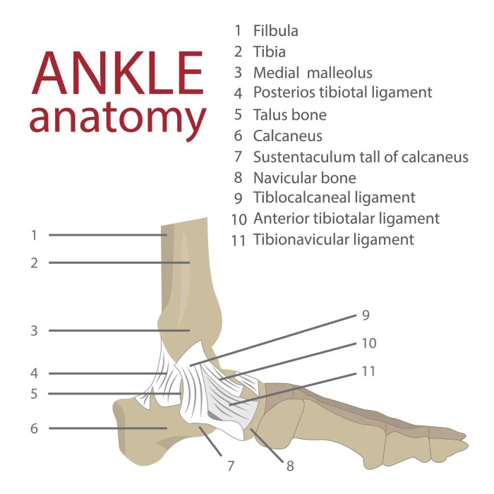 Head of fibula sticks out