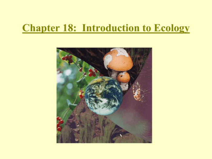 Post test the interdependence of ecosystems