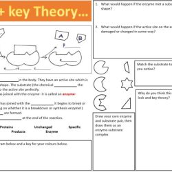 Cerradura 4 worksheet answer key