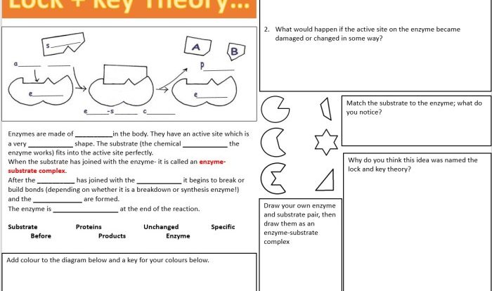 Cerradura 4 worksheet answer key