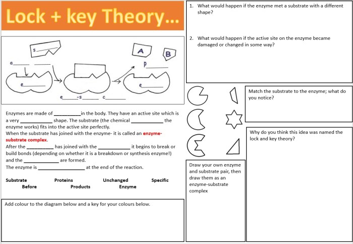 Cerradura 4 worksheet answer key