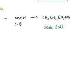 Acidic basic neutral salts classify these transcribed text show