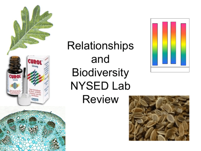 Relationships and biodiversity lab teacher guide