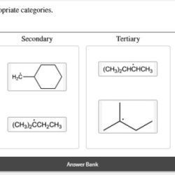 Classify the radicals into the appropriate categories.