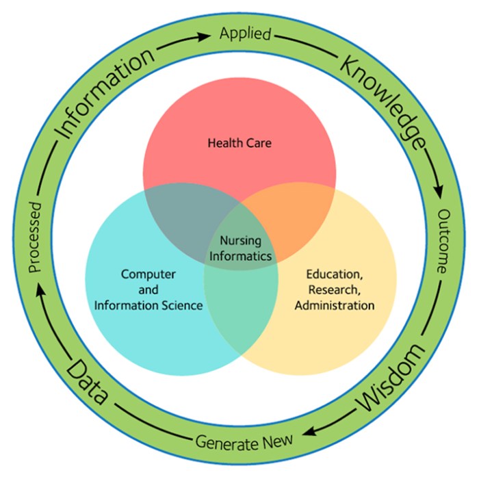 Nursing informatics and the foundation of knowledge 4th edition