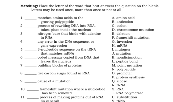 Dna rna and protein synthesis study guide answer key