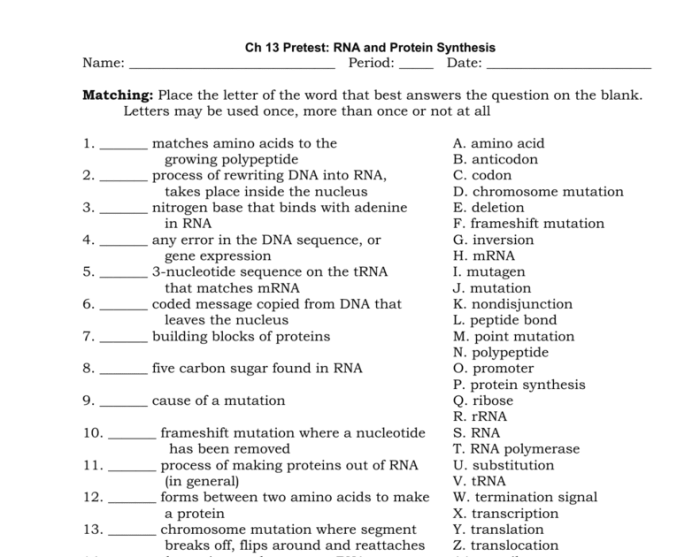 Dna rna and protein synthesis study guide answer key