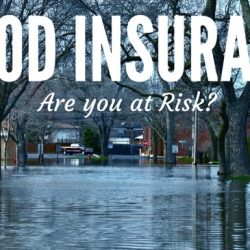 Johanna purchased a national flood insurance