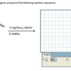 Predict the major organic product for the following reaction sequence.