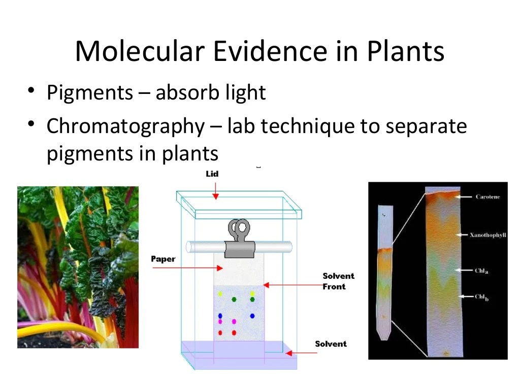 Relationships and biodiversity lab teacher guide